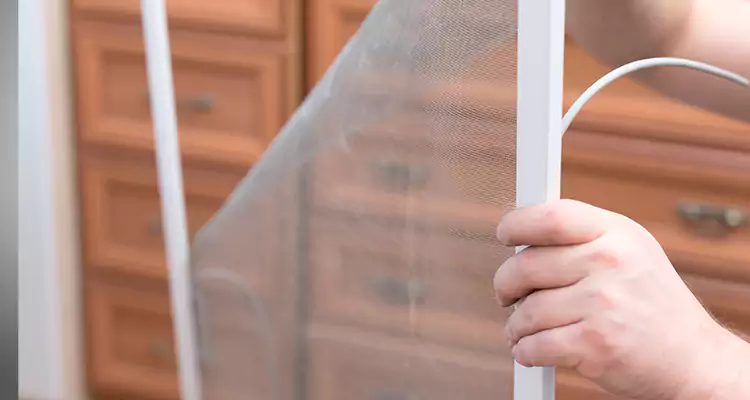 Privacy Mesh Screen Door Installation in San Pablo, CA