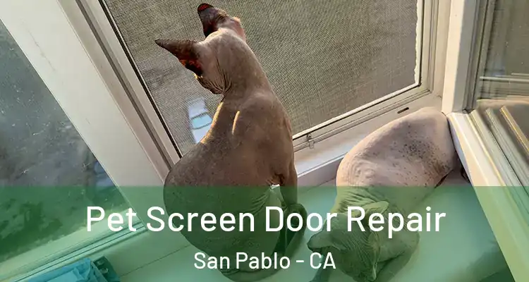  Pet Screen Door Repair San Pablo - CA